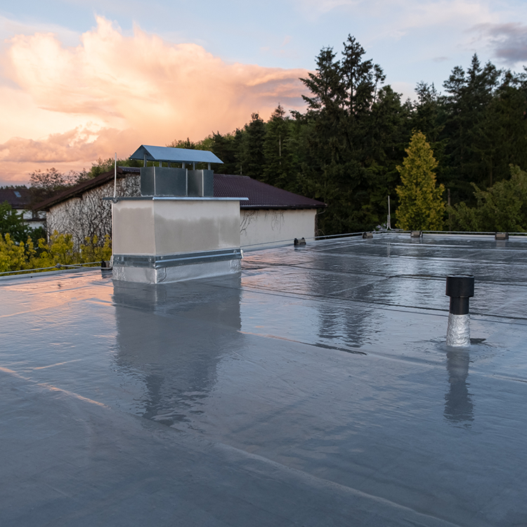 flat-roof-house flat-roof-house
