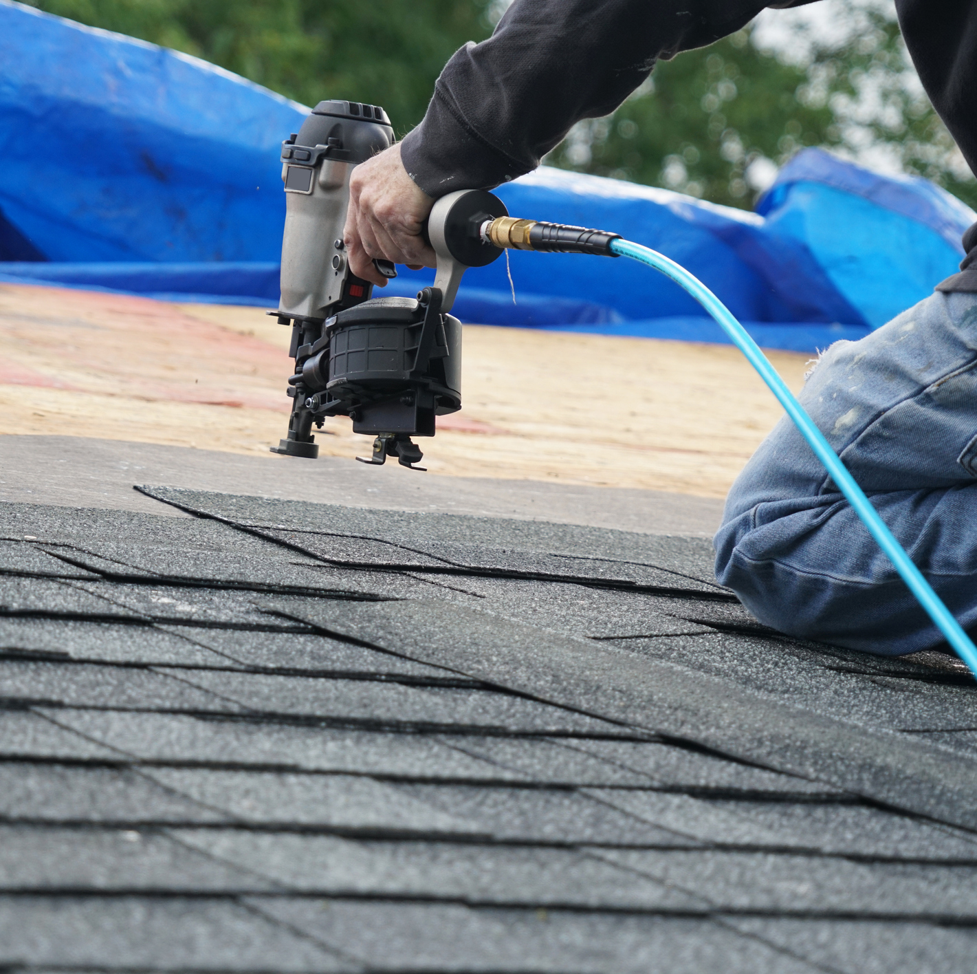 roof-repair-roof