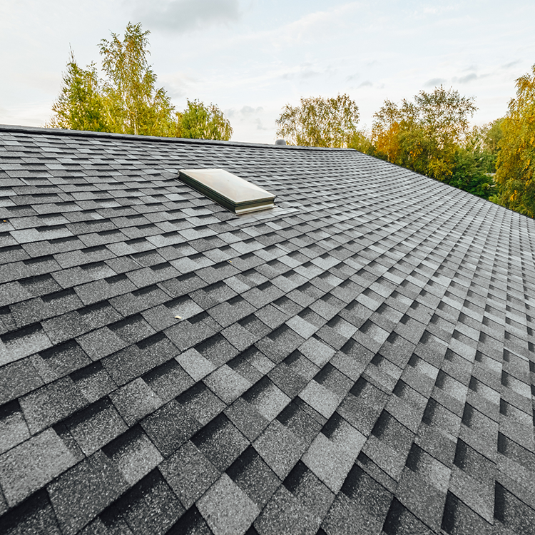 roof-shingles-sky roof-shingles-sky