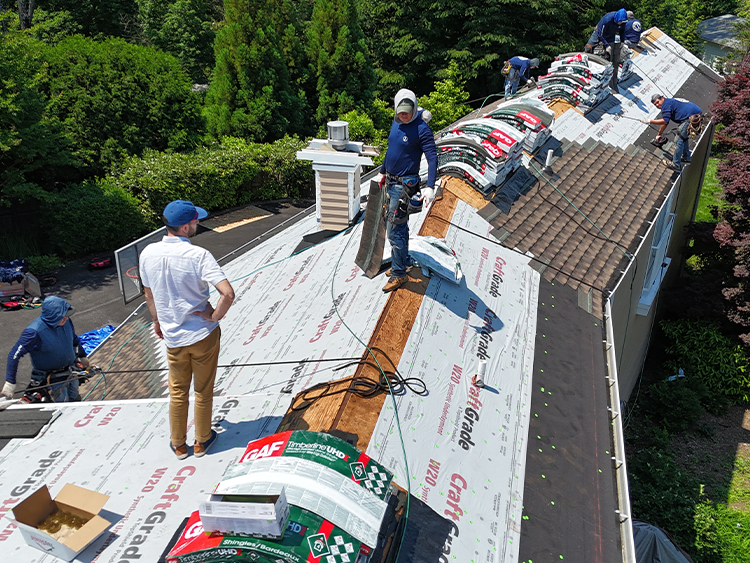 crew-trees-roof-materials