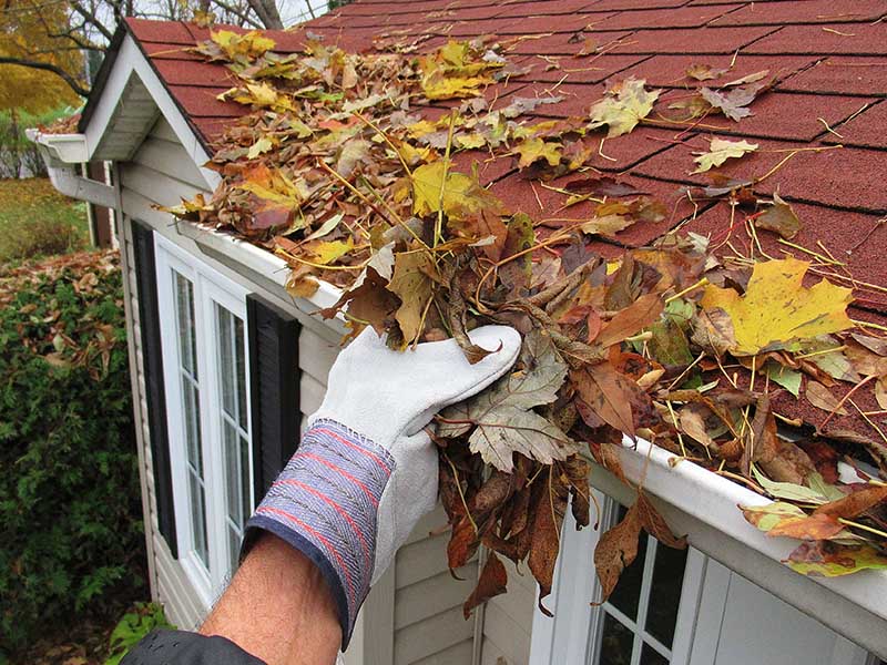 Closeup of man wearing outdoor gloves clearing leaves and debris from gutters.