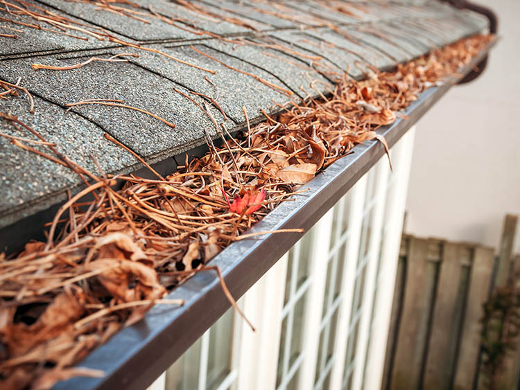 clogged-gutters-frederick-md