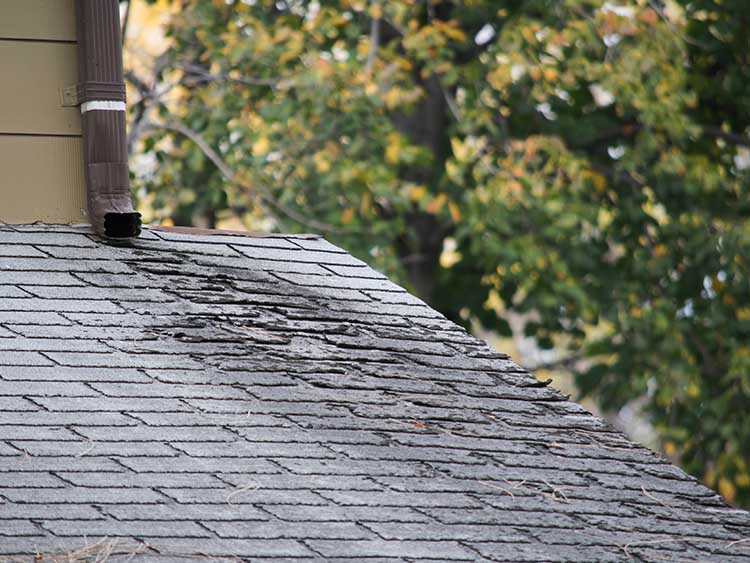 damaged-roof-frederick-md