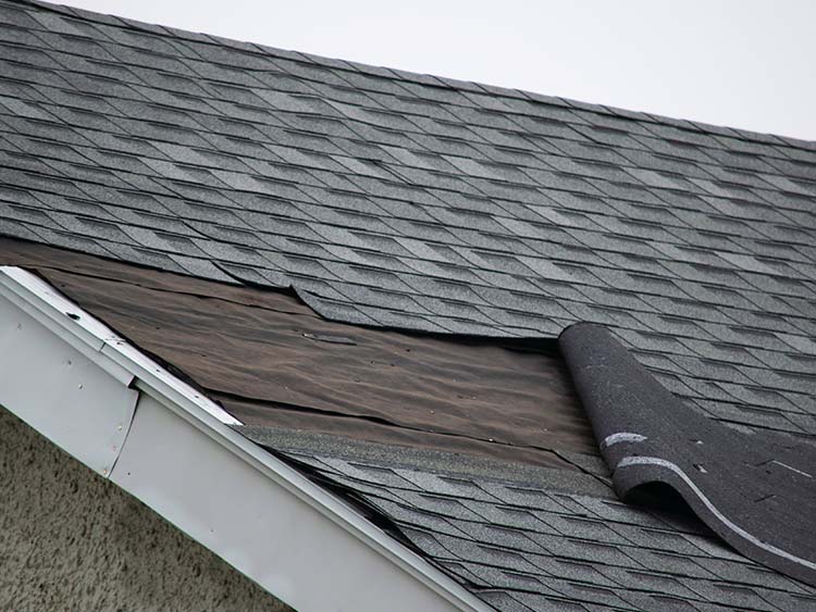 Layer of shingles pulled up from severe weather.