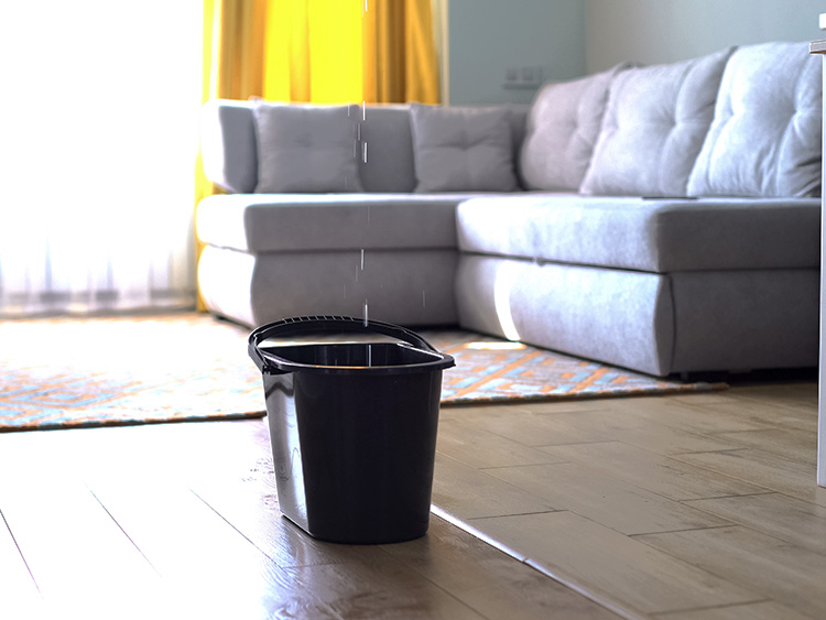 Bucket in a living room catching dripping water from a roof leak.