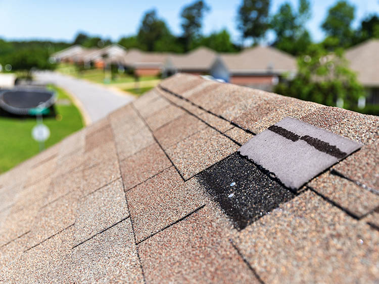 Lifted roof shingle.
