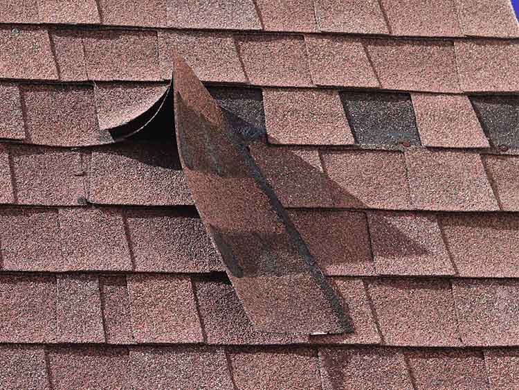 Shingles displaced by a recent wind event.