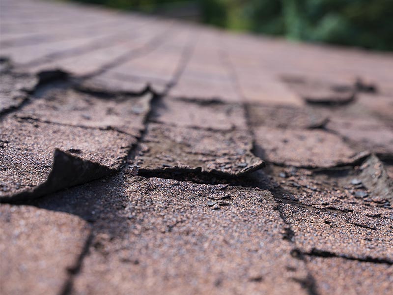 Curling shingles on a residential roof