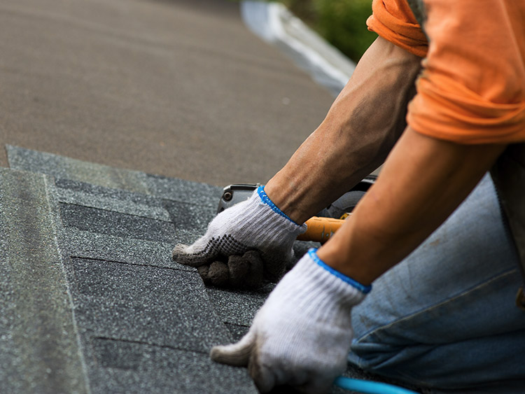 Roofer placing new shingles on roof decking.