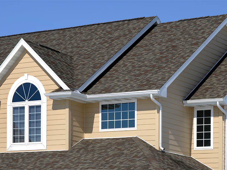whole-home-window-replacement